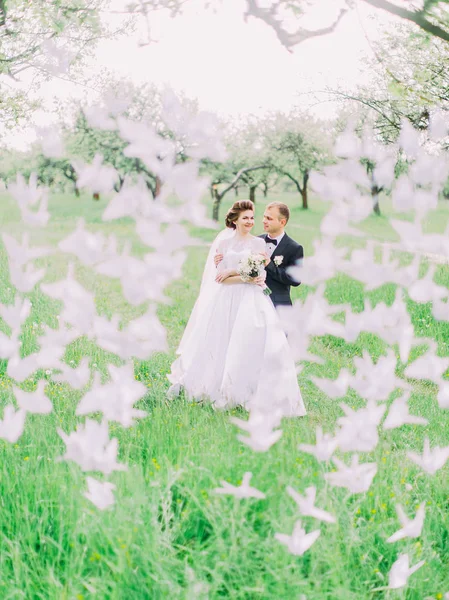 Lo sposo sta abbracciando la sposa dietro i cigni di carta nel parco. . — Foto Stock