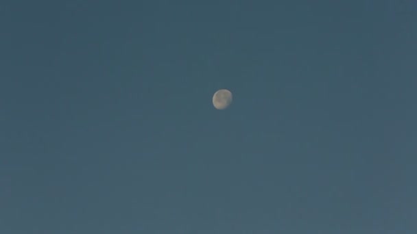 Luna piena blu su sfondo cielo blu . — Video Stock