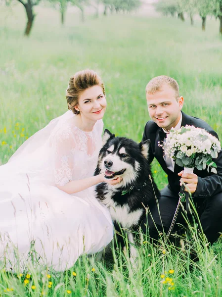 Gli sposi felici accarezzano il loro cane mentre sono seduti sull'erba verde . — Foto Stock