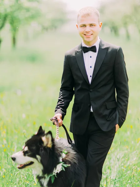 Vertikal Visa leende brudgummens promenader med hunden i fältet. — Stockfoto