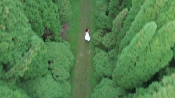 Aerial view. 4k. Fly over woman in white long dress running among tall green trees — Stock Video