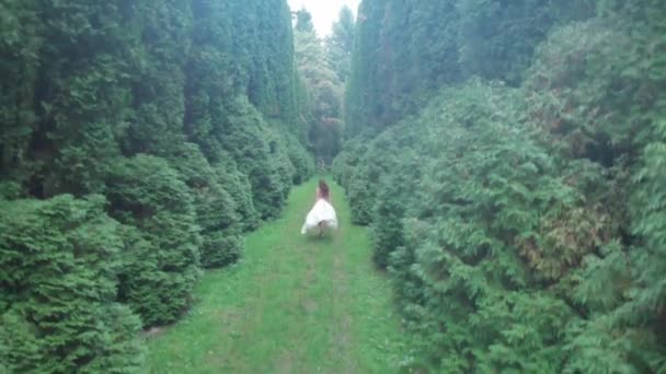 Hava görüntüsü. 4 bin. Uzun, yeşil ağaçların arasında koşan beyaz elbiseli bir kadının üzerinden uç. — Stok video