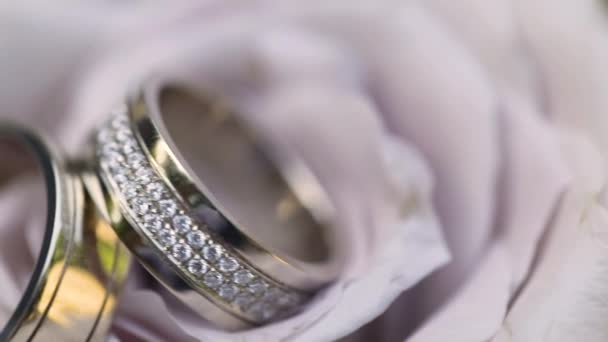 Silver engagement rings. Wedding Rings. Flower. — 图库视频影像