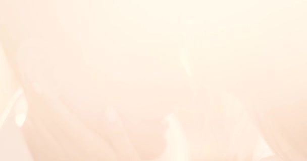 Jeune couple charmant dans les Carpates. Romantique sortir ensemble ou lovestory au jour ensoleillé. Atmosphérique. 4K .