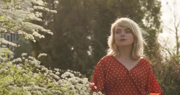 Giovane donna affascinante con un magnifico capelli dorati passeggiando intorno bell'albero in fiore. Attraente signorina si sta rilassando sulla natura in una giornata di sole. Video 4K . — Video Stock