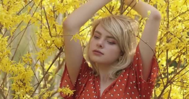 Něžný portrét půvabné blondýny pózující mezi větvemi žlutých květin. Mladá atraktivní žena s nádhernými zlatými vlasy chladí přírodu. Video 4k. — Stock video