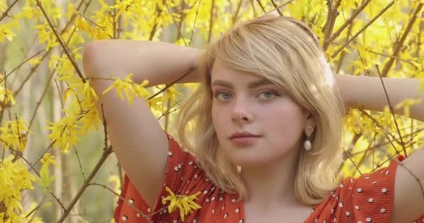 Tierno retrato de la encantadora chica rubia posando entre ramas de flores amarillas. Mujer atractiva joven con un magnífico cabello dorado es escalofriante en la naturaleza. Vídeo 4K . — Vídeos de Stock