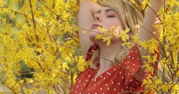 Tierno retrato de la encantadora chica rubia posando entre ramas de flores amarillas. Mujer atractiva joven con un magnífico cabello dorado es escalofriante en la naturaleza. Vídeo 4K . — Vídeos de Stock