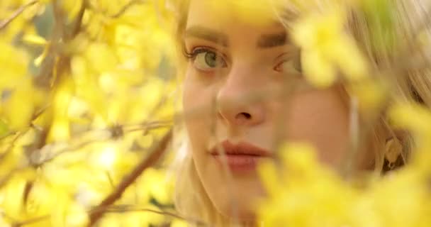 Retrato cercano de una joven encantadora con un magnífico cabello dorado, entre un árbol de flores con pétalos amarillos. Hermosa chica rubia posando cerca de un árbol floreciente, oliendo y admirando flores increíbles. 4K — Vídeo de stock