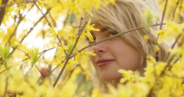 Κοντινό πορτρέτο της νεαρής γοητευτικής γυναίκας με τα υπέροχα χρυσά μαλλιά, ανάμεσα σε ανθόδεντρα με κίτρινα πέταλα. Υπέροχο ξανθό κορίτσι που ποζάρει κοντά σε ανθισμένο δέντρο, χαμογελώντας και θαυμάζοντας απίστευτα λουλούδια. 4ια — Αρχείο Βίντεο