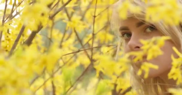 Retrato cercano de una joven encantadora con un magnífico cabello dorado, entre un árbol de flores con pétalos amarillos. Hermosa chica rubia posando cerca de un árbol floreciente, oliendo y admirando flores increíbles. 4K — Vídeos de Stock