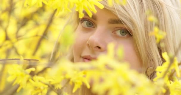 Close portrait of young charming woman with a magnificent golden hair, among flower tree with yellow petals. Lovely blonde girl posing near blooming tree, nsmilling and admiring incredible flowers. 4K — Stock Video