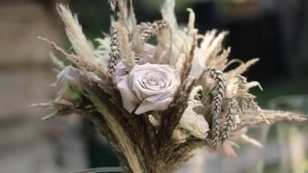 하얀 플라워의 아름다운 안정화 된 샷. 자연. 꽃봉오리 — 비디오