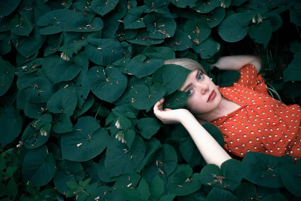 Hermosa mujer acostada entre plantas de color verde oscuro, chica bonita relajante al aire libre. Primer plano Imágenes De Stock Sin Royalties Gratis