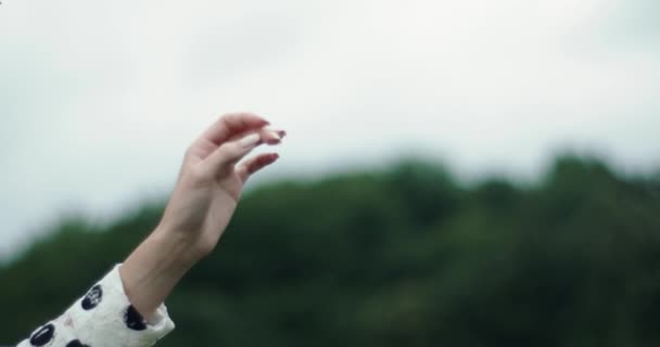 Жіноча рука з красивим манікюром на фоні природи. витончені рухи рук . — стокове відео