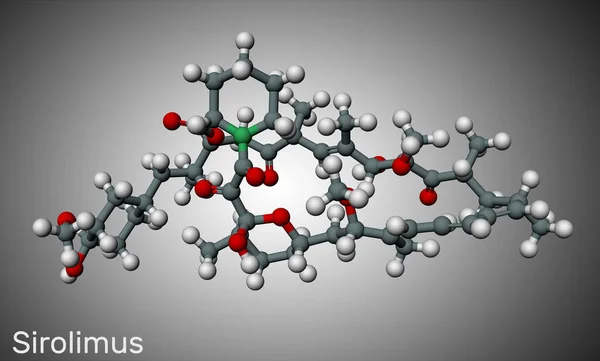 Sirolimus veya rapamycin molekülü. Bağışıklık baskılayıcı işlevleri olan bir makrolit bileşiği. Molekül modeli