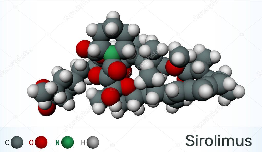 Sirolimus or rapamycin molecule. is a macrolide compound with immunosuppressant functions.  Molecule model.