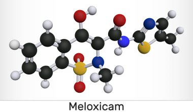 Meloxicam C14h13n3o4s2 molekülü. Steroid içermeyen, iltihap önleyici bir ilaç. Moleküler model.