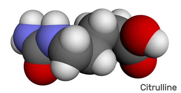 Citrullin C6h13n3o3, alfa aminosyramolekyl. Molekylär modell — Stockfoto