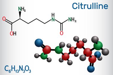Citrulline C6h13n3o3, alfa amino asit molekülü. Yapısal kimyasal formül ve molekül modeli.