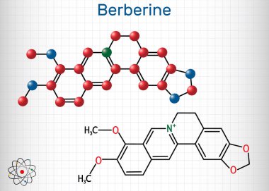 Berberin C20h18no4, bitkisel alkaloid molekülü. Yapısal kimyasal formül ve molekül modeli. Kafesteki bir kağıt parçası. 