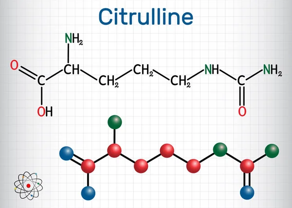 Citrulina C6H13N3O3, molécula de aminoácido alfa. Fórmula química estructural y modelo molecular . — Vector de stock