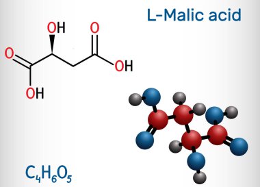 Malic acid C4h6o5 molekülü, dikarboksilik asittir. Yapısal kimyasal formül ve molekül modeli. 