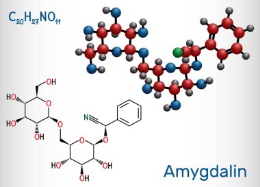 Amygdalin, laetrile molekülü, doğal olarak oluşan bir siyanojenik glikozittir. Yapısal kimyasal formül ve molekül modeli. 