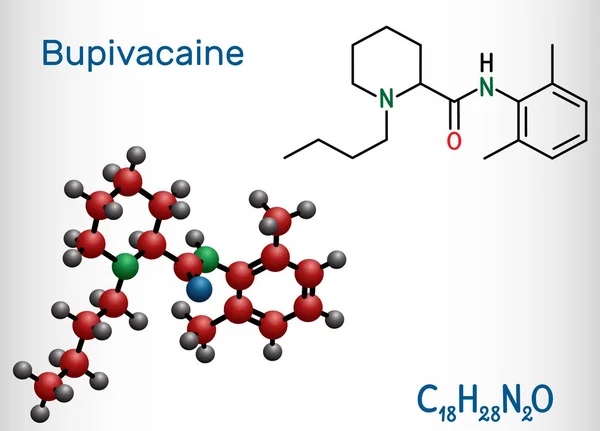 La molécula de bupivacaína es un anestésico local de acción prolongada de tipo amida. Fórmula química estructural y modelo molecular . — Vector de stock