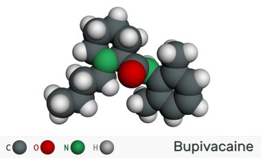 Bupivacaine molekülü, amide tipi, uzun süreli bir lokal anestezi. Moleküler model. 