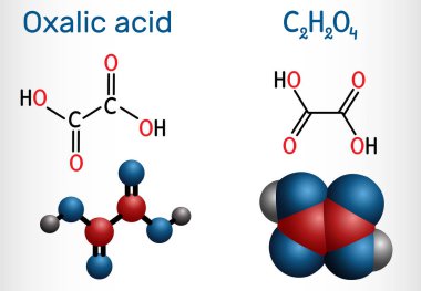 Oxalik asit C2h2o4 molekülü. Bu dikarboksilik asit. Yapısal kimyasal formül ve molekül modeli.