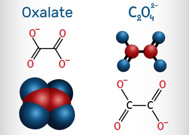 Oxalate anion, ethanedioate molecule.  Structural chemical formula and molecule model. clipart