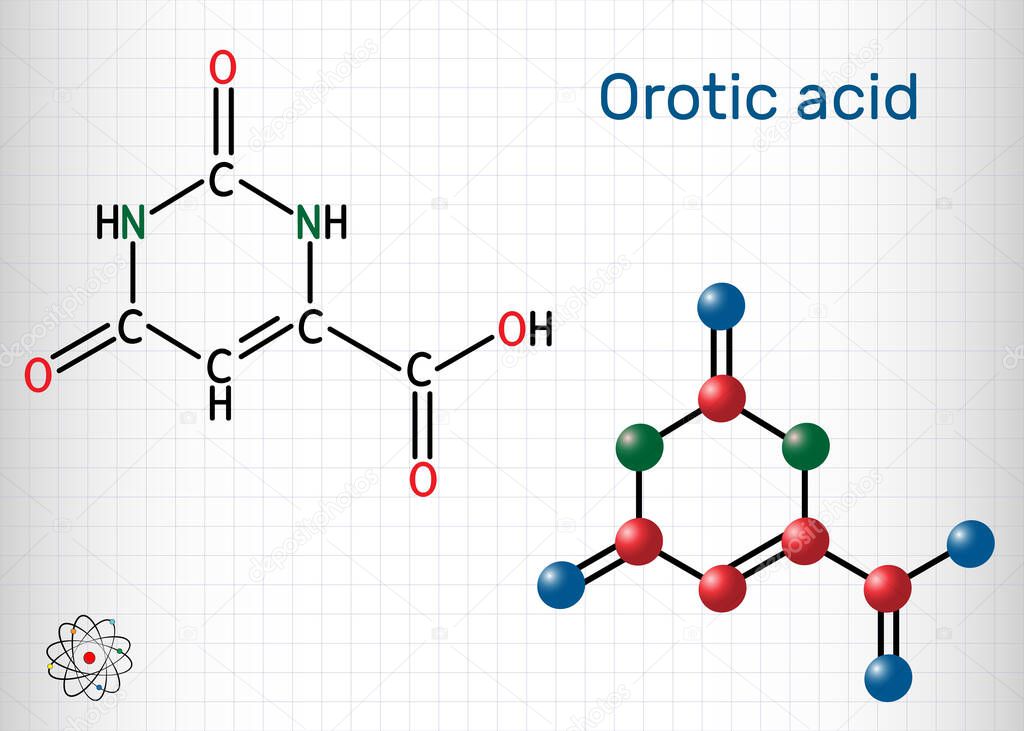 Orotic acid molecule. It is a pyrimidinedione and a carboxylic acid. Structural chemical formula and molecule model. Sheet of paper in a cage