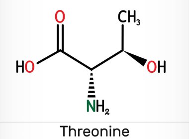 Threonine, L-Threonine, Thr, C4H9NO3 essential amino acid molecule. Skeletal chemical formula. Illustration clipart