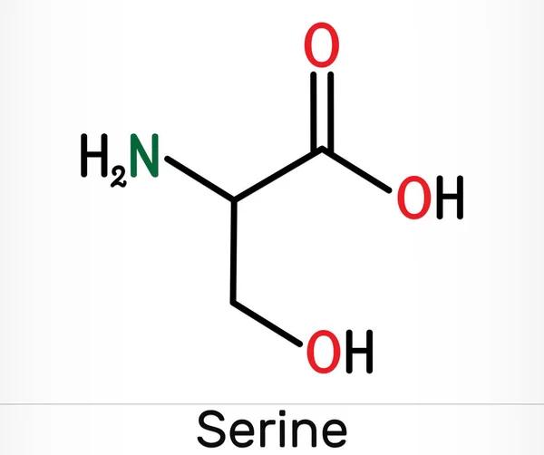 丝氨酸 Ser氨基酸分子 它被用于蛋白质的生物合成 骨骼化学配方 说明1 — 图库照片