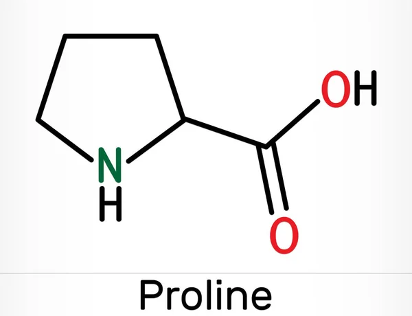 Prolina Prolina Molécula Aminoácidos Proteinogénicos Pro Fórmula Química Esquelética Ilustración — Foto de Stock