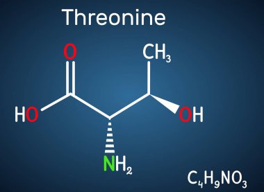 Threonine, L-Threonine, Thr, C4H9NO3 temel amino asit molekülü. Koyu mavi arkaplanda yapısal kimyasal formül. Vektör illüstrasyonu