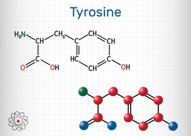 Tyrosine, L-tyrosine, Tyr, C9H11NO3 amino asit molekülü. Protein sentezinde rol oynar, katekolamin, tiroksin ve melanin sentezinin öncüsüdür. Kafesteki bir kağıt parçası. Vektör illüstrasyonu