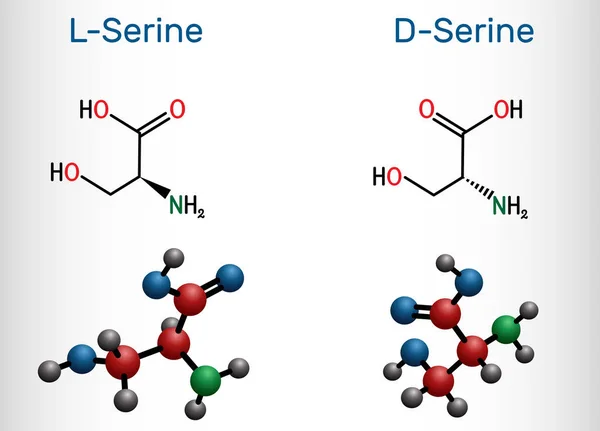 Estereoisómeros Serina Serina Serina Molécula Aminoácidos Fórmula Química Estructural Modelo — Vector de stock