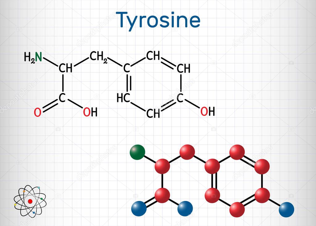 Tyrosine, L-tyrosine, Tyr,  C9H11NO3  amino acid molecule. It plays role in protein synthesis, it is precursor for synthesis of catecholamines, thyroxine, melanin. Sheet of paper in a cage. Vector illustration