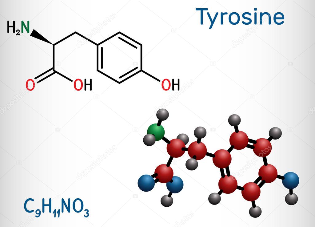 Tyrosine, L-tyrosine, Tyr,  C9H11NO3  amino acid molecule. It plays role in protein synthesis, it is precursor for synthesis of catecholamines, thyroxine, melanin. Structural chemical formula, molecule model. Vector illustration