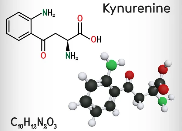 Kynurenine, l-Kynurenine, C10H12O3N2 molecule. It is a metabolite of the amino acid L-tryptophan used in the production of niacin. Structural chemical formula and molecule model. Illustration