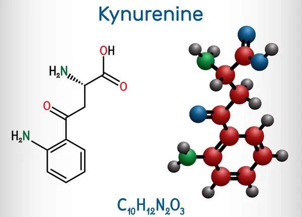 Kynurenine Kynurenine Molécula C10H12O3N2 Metabolito Del Aminoácido Triptófano Utilizado Producción — Vector de stock