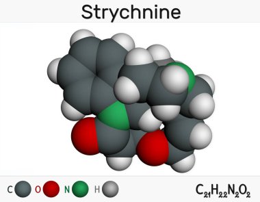 Striknin, C21H2N2O2, molekül. Bu monoterapi indole alkaloid, Strychnos nux-vomica ağacının tohumlarından. Kemirgenleri yok etmek için kullanılır. Moleküler model. 3B görüntüleme