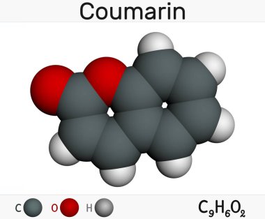 Coumarin, C9H6O2 molekülü. Yeni biçilmiş samanların kokusu olarak tanınan tatlı bir kokusu var. Coumarinic bileşikleri laktonların sınıfıdır. Moleküler model. 3B görüntüleme