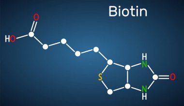 Biotin, B7 vitamini molekülü. Koyu mavi arkaplanda yapısal kimyasal formül. Görüntü