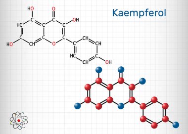 Kaempferol. C15: 10o6 molekülü. Antioksidan, doğal flavonol, bir çeşit flavonoid. Yapısal kimyasal formül ve molekül modeli. Kâğıtta bir sayfa kağıt. Vektör illüstrasyonu