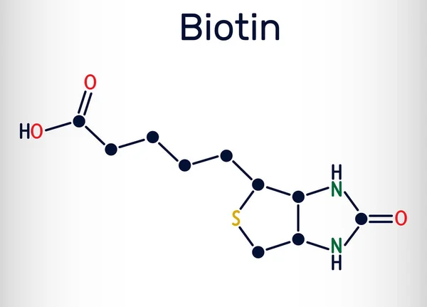 Biotin, B7 vitamini molekülü. Yapısal kimyasal formül. Vektör illüstrasyonu