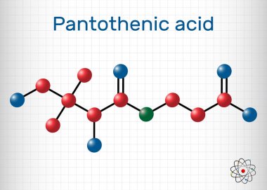 Pantotenik asit, B5 vitamini, pantotenat molekülü. Kafesteki bir kağıt parçası. Vektör illüstrasyonu
