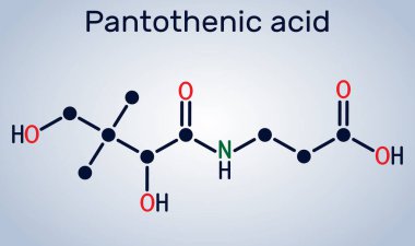 Pantotenik asit, B5 vitamini, pantotenat molekülü. Yapısal kimyasal formül. Vektör illüstrasyonu